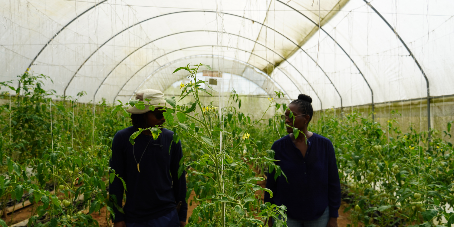 Green Farms